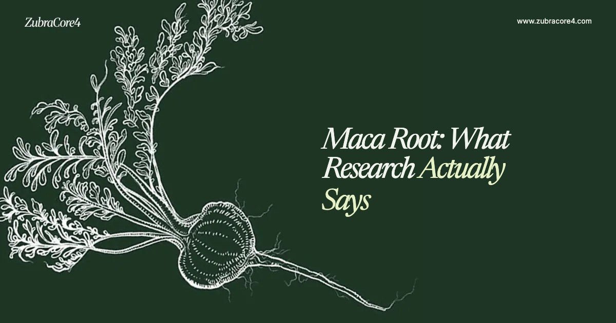 Maca Root Benefits: What Research Actually Says